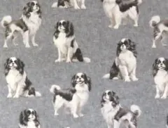 【ゆきちゃん限定】X2587-1 狆（チン）柄 デニムグレー コットン生地 1m