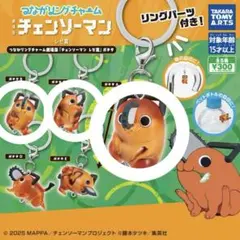 つながリングチャーム ポチタ めじるしアクセサリー A.B.Cセット①