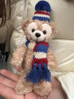 【ぬいぐるみバッジ】ディズニー 20周年 ダッフィー 復刻版 2005お顔厳選