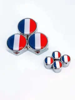 M 車検適合 フランス エアバルブキャップ ナンバー プレート ボルト カバー