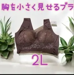 胸を小さく見せるブラ シームレスブラ ノンワイヤー 着痩せ 美胸　2Lナイトブラ