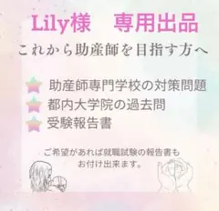 Lily様　専用出品
