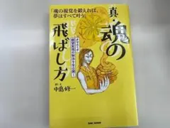 真・魂の飛ばし方 : 人生を自在に描く!タマエミチ・トレーニング
