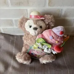 ディズニー シェリーメイ サニーファン ぬいぐるみ　 パスケース ダッフィー