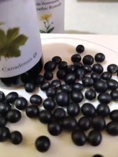 パイセン(猫のミミちゃん)様 リクエスト 4点 まとめ商品