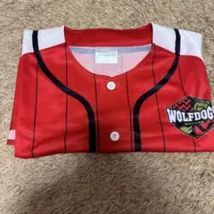 【ウルフドッグス名古屋】上林直澄選手 Pickup 応援タオル チャームセット 1/4-5VC長野トライデンツ戦】ウルフドッグス名古屋オフィシャル