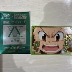 ハンターハンター 銀だこ 第3弾 カード ゴン