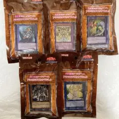 遊戯王カードゲーム アクリルブロック vol.5 全5種