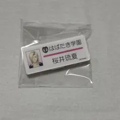 ときめきメモリアルGS3設楽聖司 紺野玉緒 大迫力ネームプレート - メルカリ