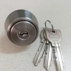 Item thumbnail for item 24c56a12-1895-4764-92a9-78d970c53f56