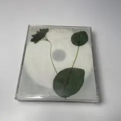 今井美樹ベスト