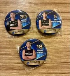 SEAHORSES MIKAWA シーホース三河選手バッジセット　3選手