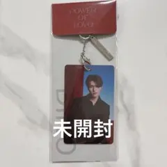 SEVENTEEN セブチ　power of love キーリング ディノ