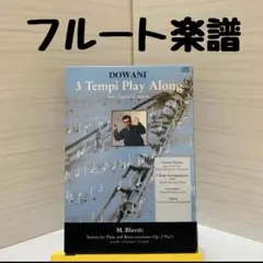 ★フルート楽譜/Play Along CD付き！！