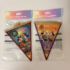 ディズニー　40周年　ドリームガーランド　ハロウィン　クリスマス　2023