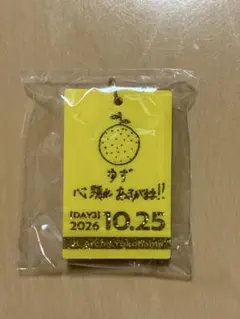 ゆず YUZU 心をとめないで 2026 가챠 10月25日 キーホルダー