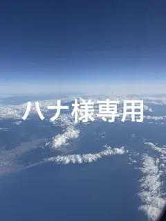 ハナ様専用
