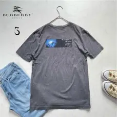 オーバーサイズ バーバリー バックプリント Tシャツ ダイバー グレー 3