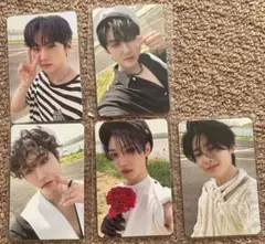 Stray Kids スキズ MAXIDENT トレカ 封入