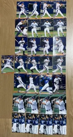 プロ野球チップス　中日ドラゴンズ