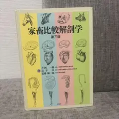 新編 家畜比較解剖図説 上巻、下巻 - メルカリ