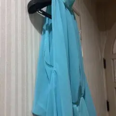 Item thumbnail for item c140e352-dc6e-4f77-89ed-483aa8cc1e46