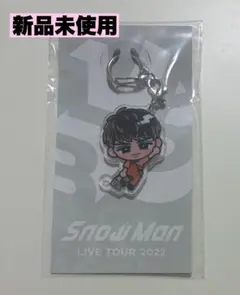 신품 미개봉 SnowMan 向井康二 すのチルアクリルキーホルダー