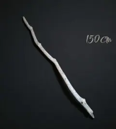 Item thumbnail for item 654abc77-e868-4bac-8884-622acad15a50