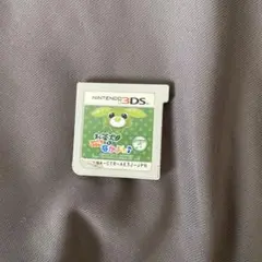 お茶犬といつもなかよし♪ ニンテンドー3DS カセット