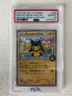 2026年最新】ポンチョを着たピカチュウ psa10の人気アイテム - メルカリ