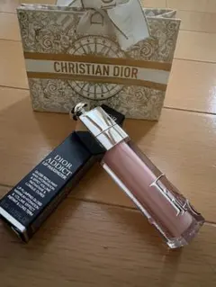 ⭐︎未使用⭐︎ DIOR ADDICT リップ マキシマイザー 001