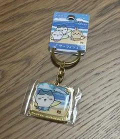 Chiikawa local keychain Miyazaki surfing cat with split face