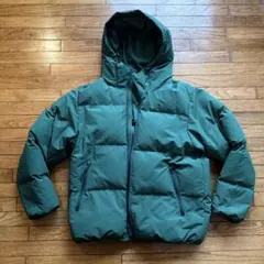 Item thumbnail for item 66341c7b-1c46-4ed3-88f0-d1615e29f5ca