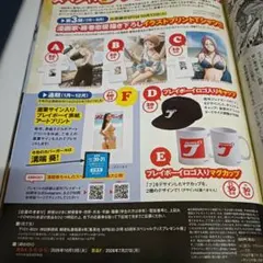 プレイボーイ応募券1枚　溝端葵直筆　Tシャツ　黒子のバスケ　キルアオのサムネイル