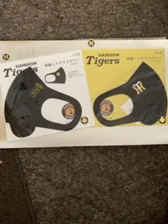 Item thumbnail for item cc95f4ff-0610-41fa-8d97-bd9a33c29ccd