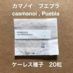 ☆あいな☆営業再開☆様 リクエスト 2点 まとめ商品