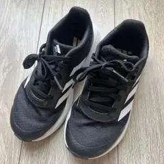 Item thumbnail for item 33e38558-1fc0-446d-89f7-e04023e22cd9