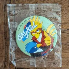 2025年最新】skyピンバッジの人気アイテム - メルカリ