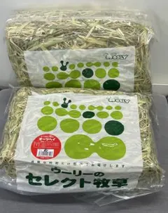 WOOLY高原の朝採り牧草イタリアンライグラスヤング2024年度産2袋セット