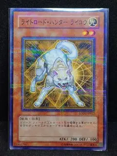 ライトロードハンターライコウ シークレット 2026年最新】ライトロードハンターライコウの人気アイテム - メルカリ