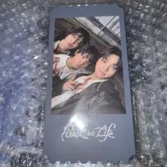 &TEAM Back to Life WeverseGL チケット風カード