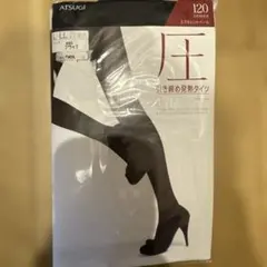 アツギ　アスティーグ　120デニール 引き締め発熱タイツ L-LL ブラック