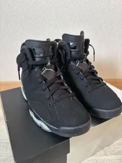 AIRJORDAN 6 RETRO Metallic Silver 26.5cm