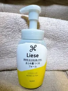 Liese まとめ髪つくるフォーム ヘアスタイリング　リーゼのサムネイル