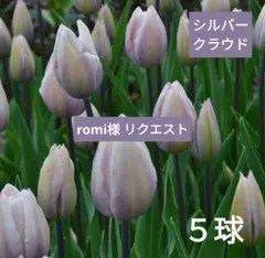 romi様 リクエスト 5点 まとめ商品