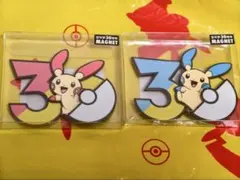 30th マグネット イワンコ　ルガルガン3種セット ポケモン 30周年 マグネット イワンコ 3種セット 中国限定 - メルカリ