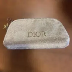 dior ポーチ