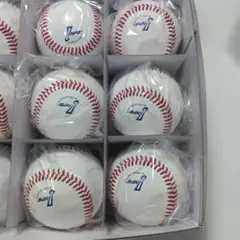 祝甲子園出場 広島県 記念ボール 2個セット | Mercari