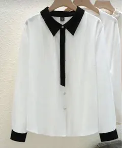 大きいサイズ トップス ブラウス 4XL 白 ホワイト ブラック