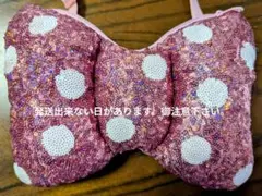 ディズニーパルパルーザ ミニーファンダーランドリボンバッグ